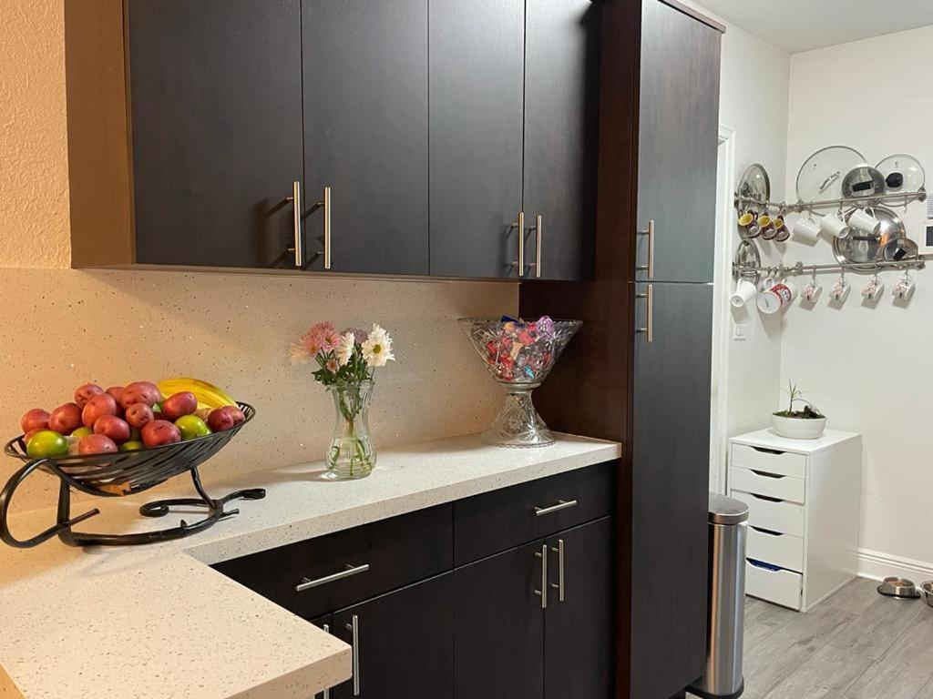 Brazilian Home โครอลเกเบิลส์ ภายนอก รูปภาพ